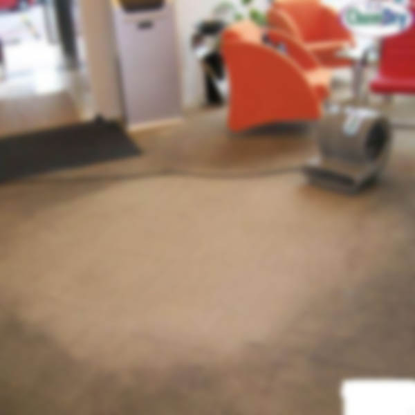 依语地毯清洗案例